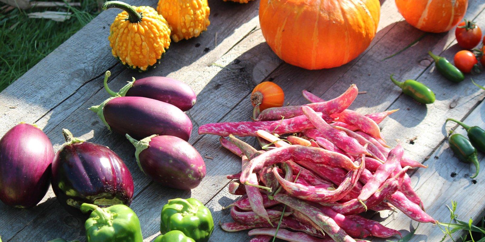 grönsaker höst_smal