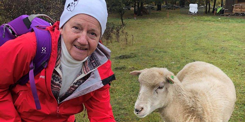 Elisabet Lidbrink med får 800x400px.jpg