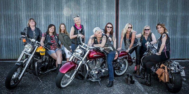 PinkWildRoses_foto_Eva Wistemar.jpg