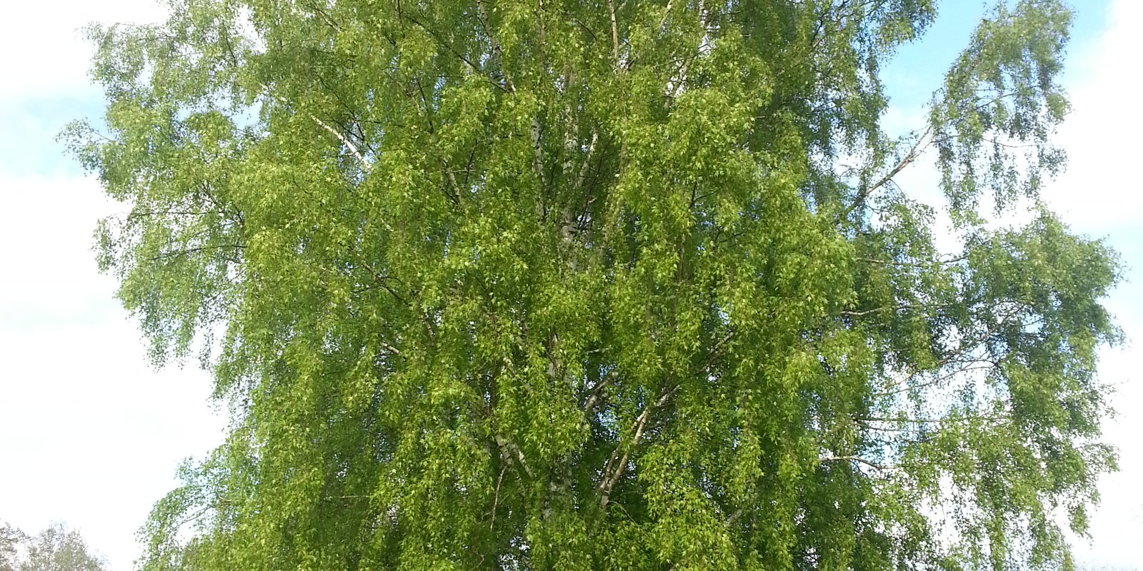 2014-05-14 18.11.42.jpg