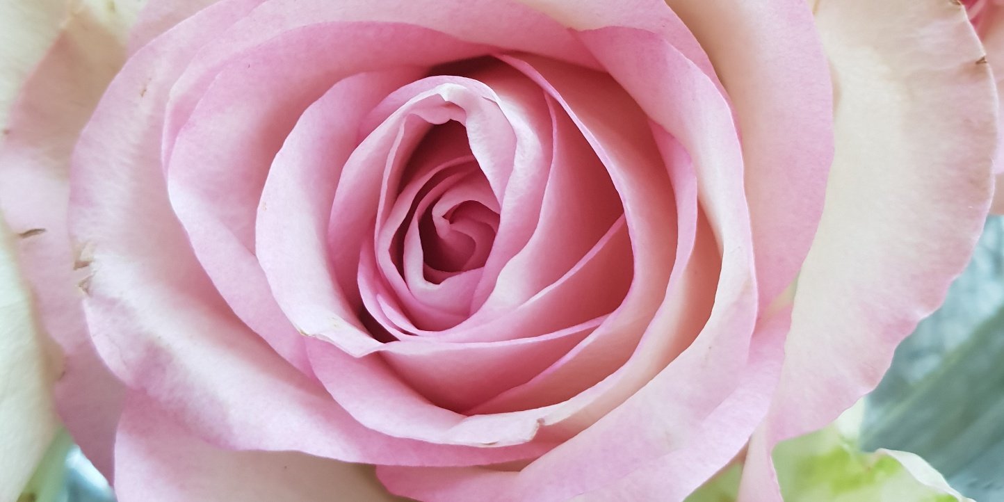 20181007_100246_resized