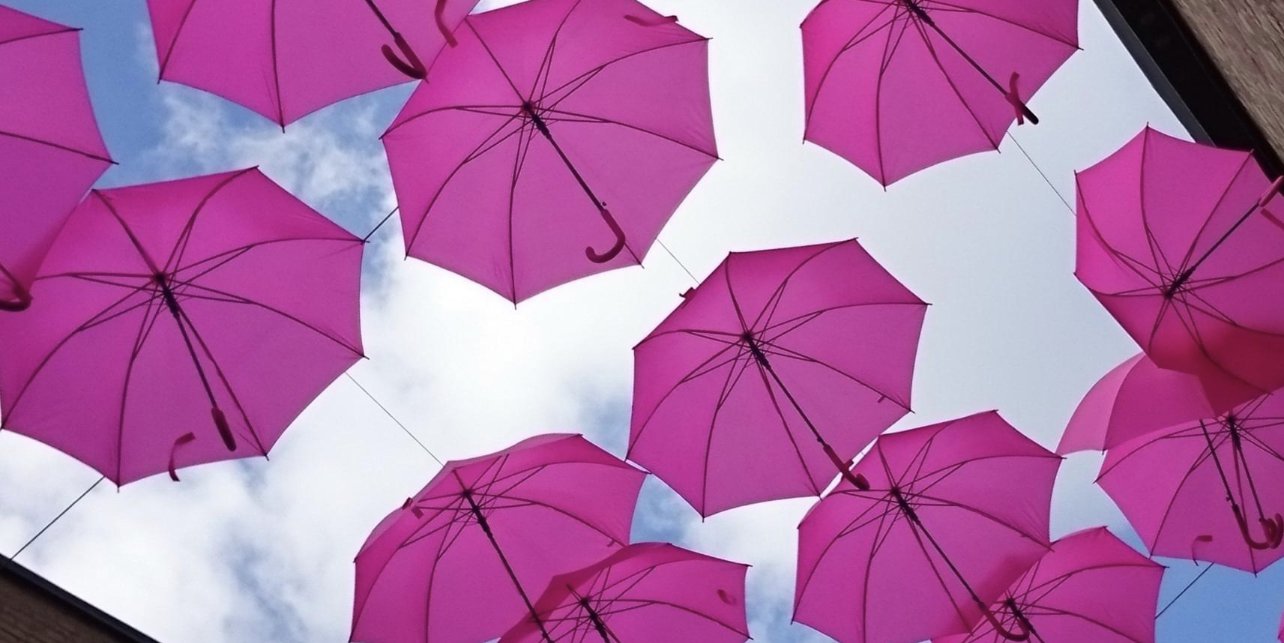 B599B564-D44F-4023-AB5A-2F37BDC116A1