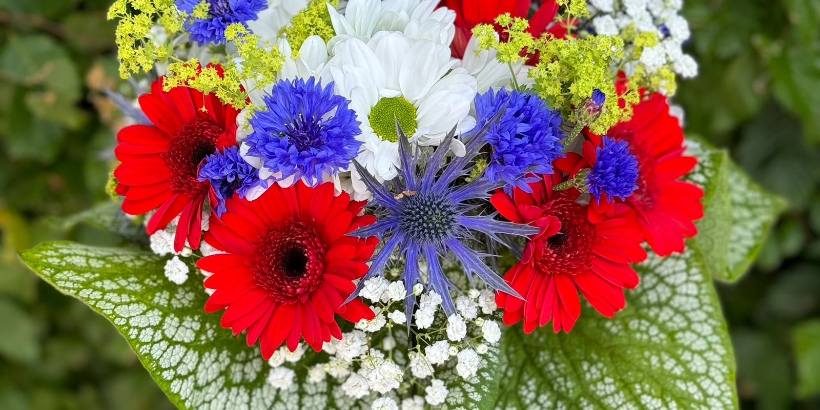 CE88BE14-C8CB-490D-AEC8-41FC246C8668_1_201_a