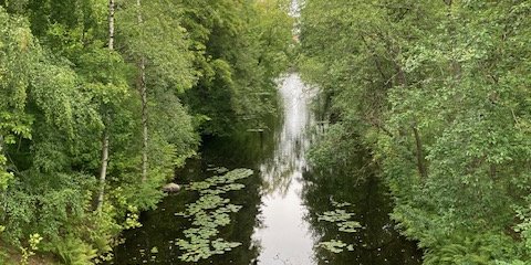 IMG_1738