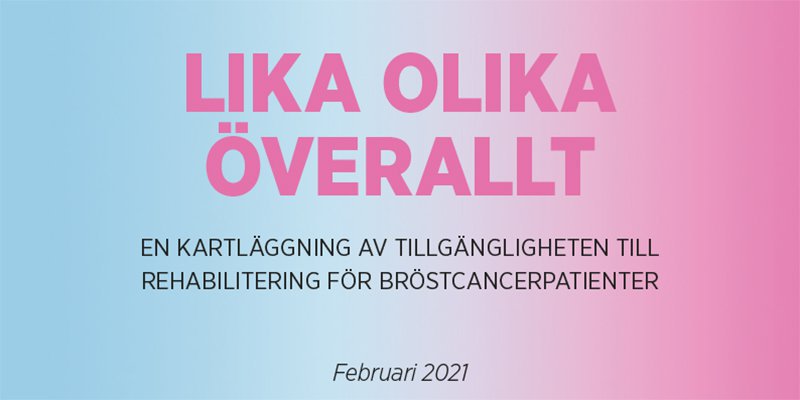 Lika_olika_overallt_-_800x400px.2e16d0ba.fill-1600x800.jpg