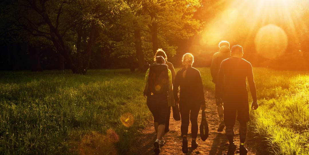 Promenad-i-skogen-4605516_1080x675