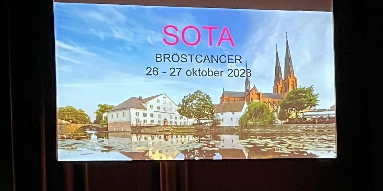 SOTA Henrik Lidman och Åsa Wikberg