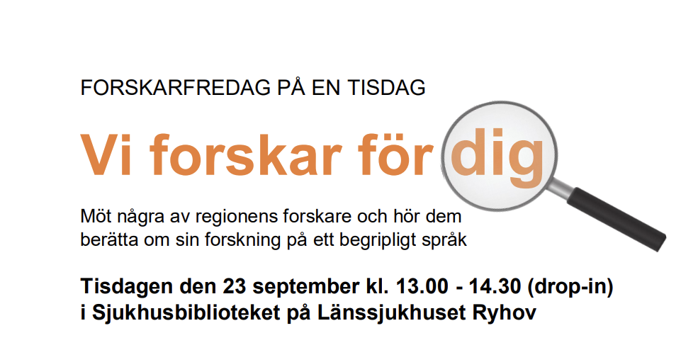 Skärmbild 2025-08-29 181826