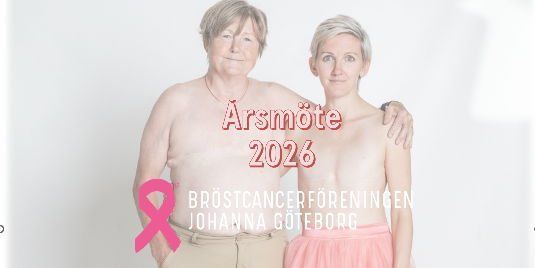 Skärmbild 2026-03-03 001714