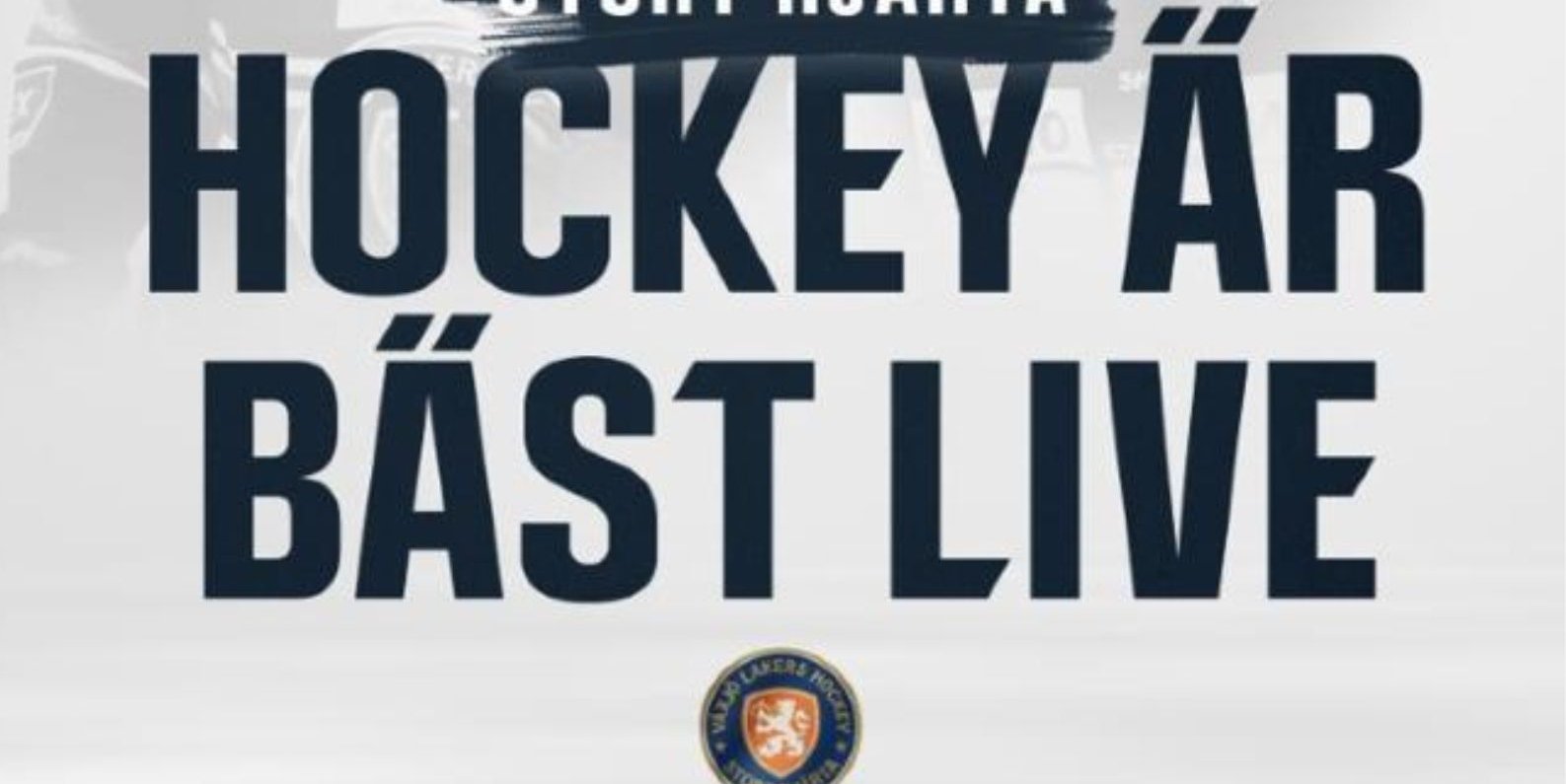 Upplev spänningen 1🏒 Kampanjpriser på hockeybiljetter