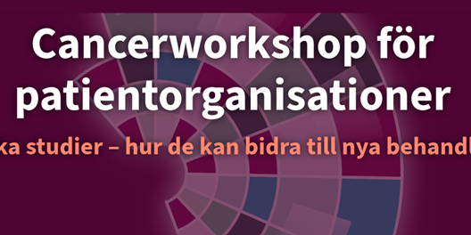 Workshop KI