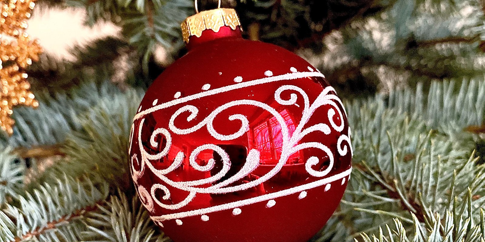 irina-galeeva-TR0VXceMkS0-unsplash