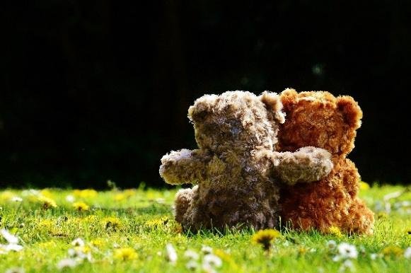 nalle