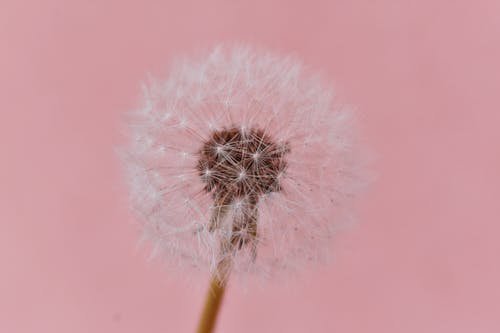 pexels-photo-2317874.jpeg