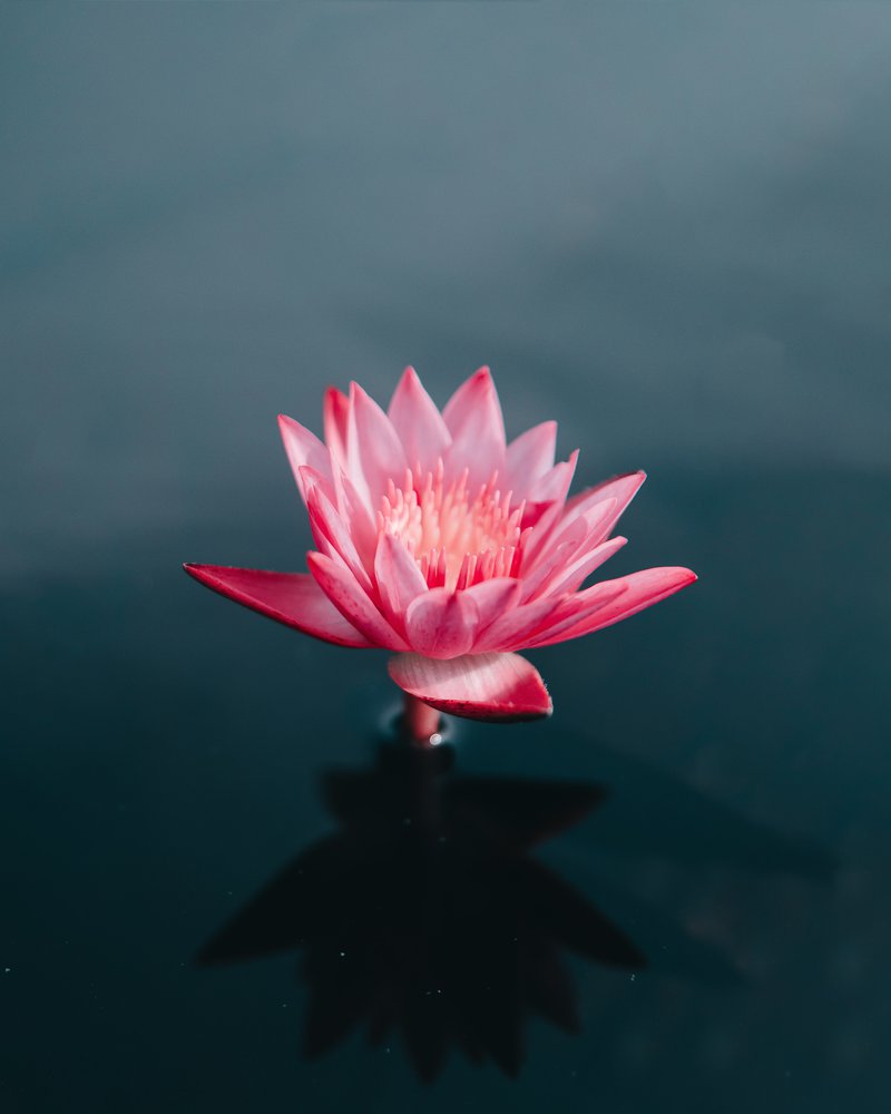 saffu-A7RzCegedb4-unsplash