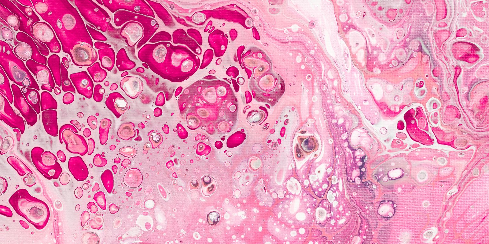 scott-webb-sY0wzQGMF8A-unsplash