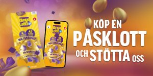 stotta-oss-med-pasklott-300x200